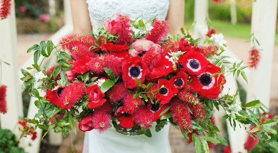 we love: red anemones & the best holiday cocktails