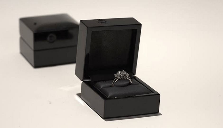 Ring Cam Captures Your Proposal